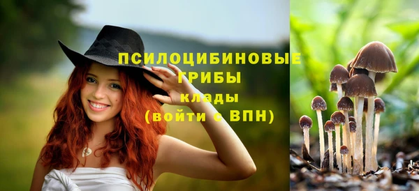 ECSTASY Володарск