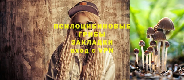 ешки Волосово