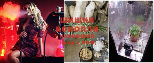 ECSTASY Володарск