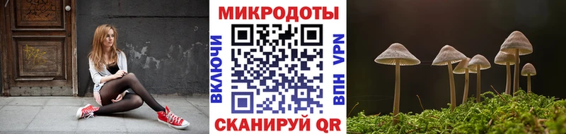 купить закладку  Десногорск  Галлюциногенные грибы GOLDEN TEACHER 