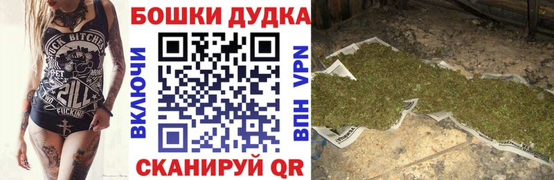 как найти закладки  Десногорск  Шишки марихуана конопля 